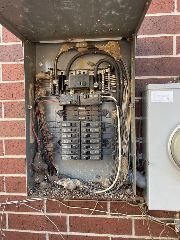 Old outdoor panel with rust, debris and insect nests before replacement